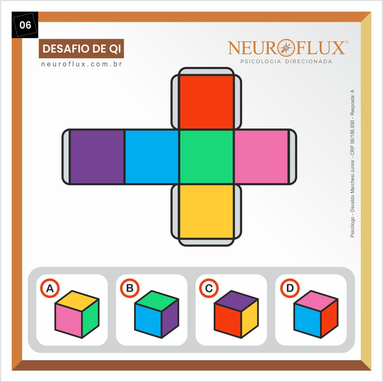 06-Teste-de-QI-Gratuito-Osvaldo-Marchesi-Junior-NeuroFlux-Psicologia-Direcionada-A