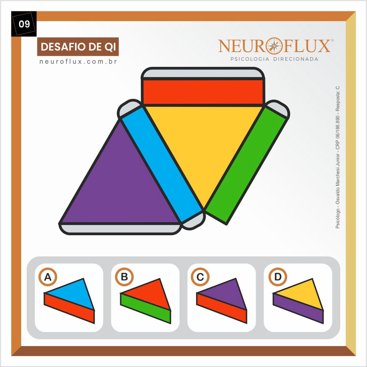 09-Teste-de-QI-Gratuito-Osvaldo-Marchesi-Junior-NeuroFlux-Psicologia-Direcionada-C