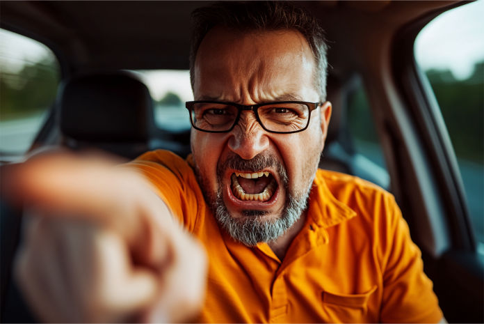 Desregulação Emocional - Osvaldo Marchesi Junior - NeuroFlux